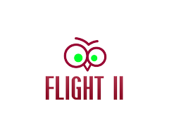 FLIGHT 11