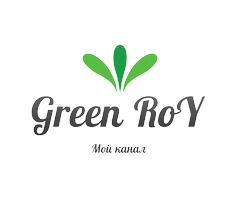 Green RoY