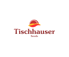 Tischhauser 