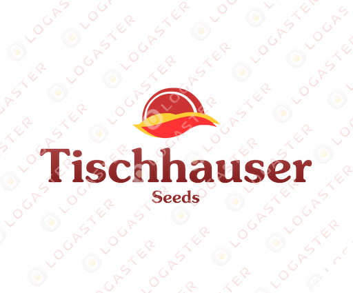 Tischhauser 
