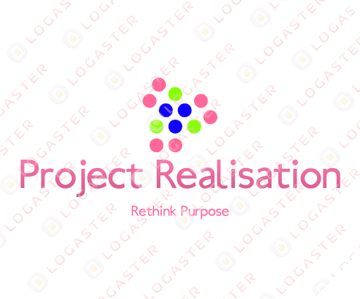 Project Realisation