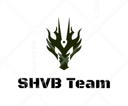SHVB Team